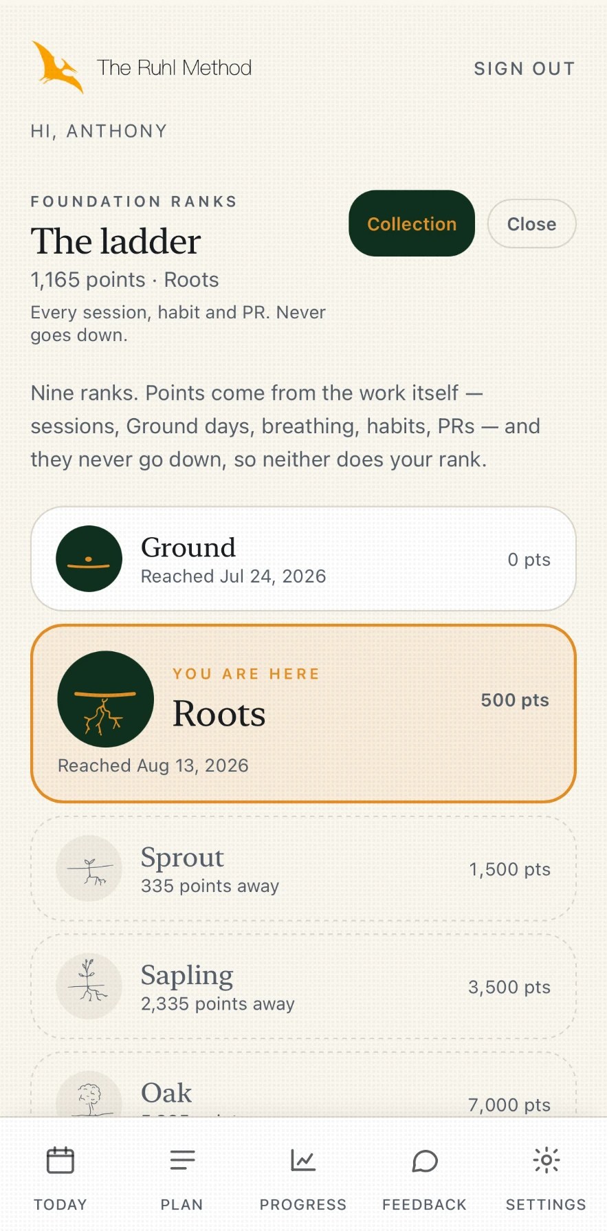 Ruhl Method rank ladder from Ground to Oak